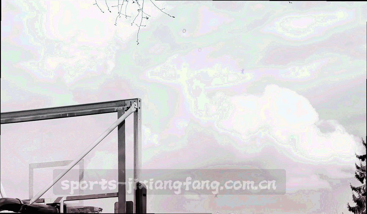 主客场区间热力示意图，薄荷绿与蓝紫色阶区分主场与客场表现高低